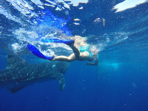 Schnorchlerin mit Waalheien