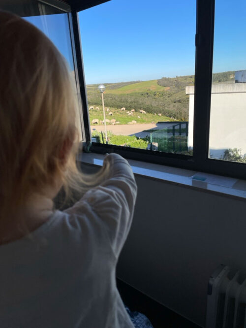 Kind zeigt auf Zieenherde aus dem Fenster