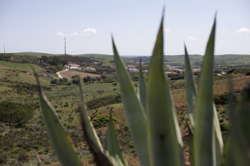 Landschaft Raposeria Portugal mit Sokolenten Vordergrund