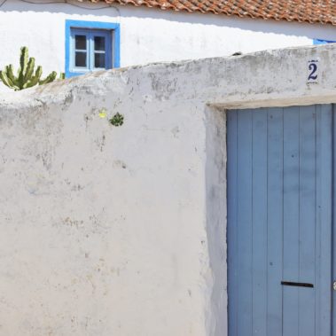 Mauer mit blauer Tür, dahinter Kakteen und blau gestrichenes Fenster