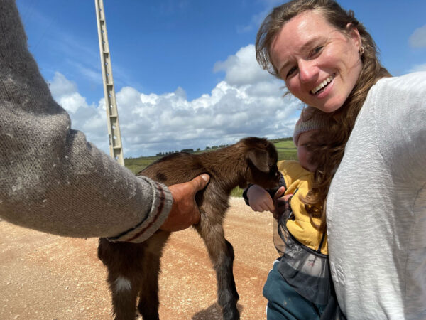 Kleinkind streichelt Ziege