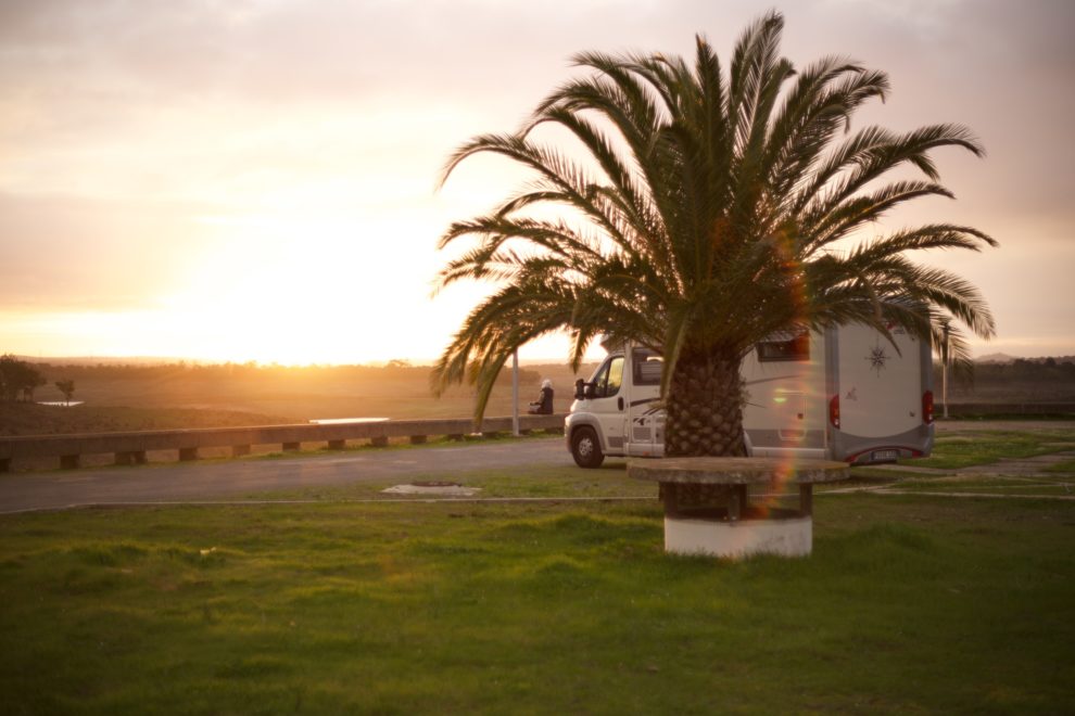 Wohnmobil hinter Palme auf einem Stellplatz