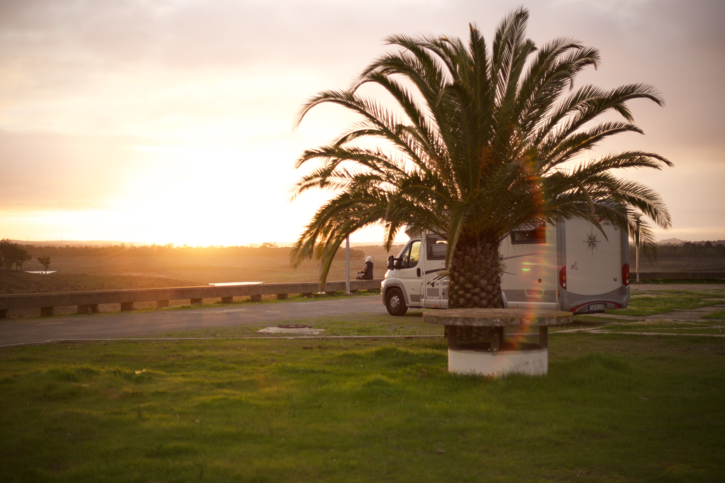 caravan2 Wohnmobil hinter Palme auf einem Stellplatz